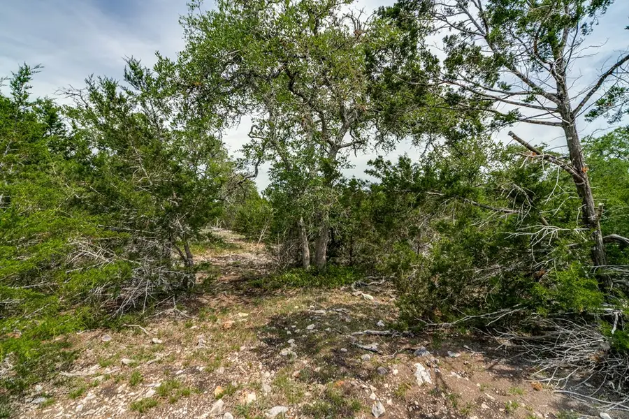 4207 Zenner-ahrens Rd, Kerrville, TX 78028 - Image #2
