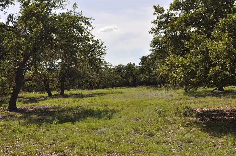 18043 Fm 479, Harper, TX 78631 - Image #3
