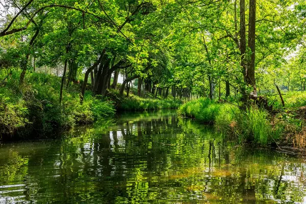 199 Lexington Dr, Fredericksburg, TX 78624