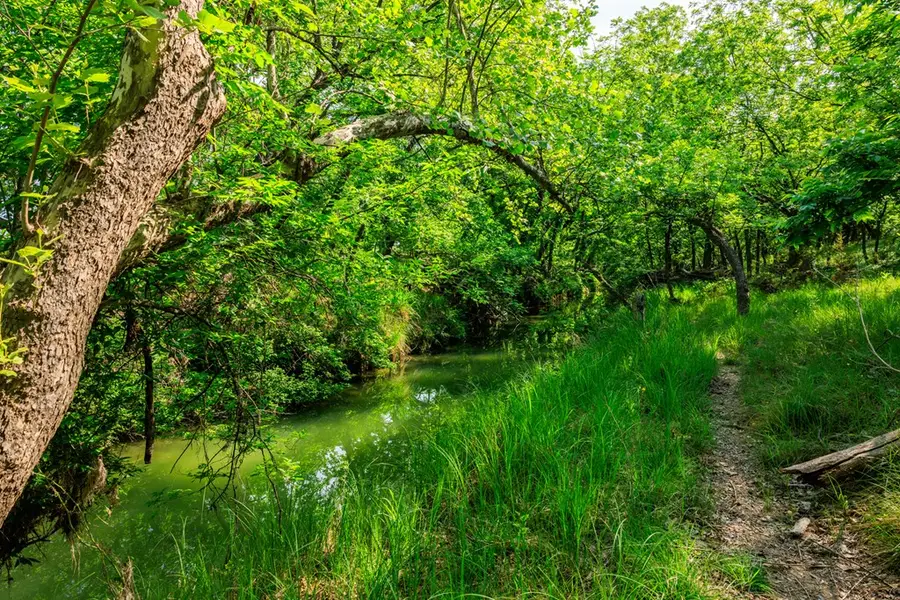 199 Lexington Dr, Fredericksburg, TX 78624 - Image #3