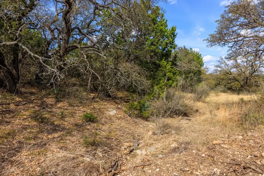 4632 Onion Creek Rd, Doss, TX 78618 - Image #3