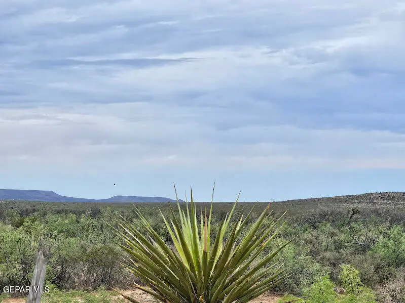 27 SEC 7 Psl Sierra Prieto #60 Lot 2, Sierra Blanca, TX 79851 - Image #2