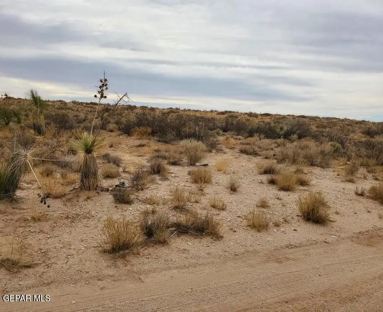 PN 163156 Norris Drive, El Paso East, TX 79938 - Image #2