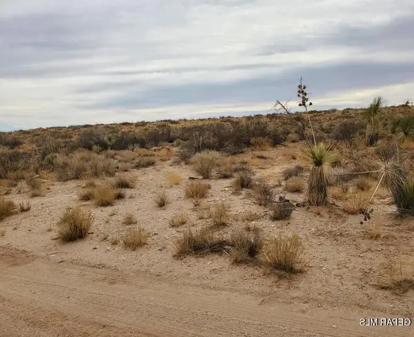 PN 89207 Lima Drive, Clint, TX 79938