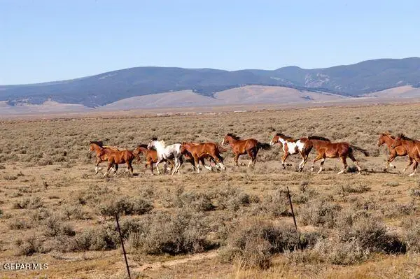 PN-65679 Hudspeth 73 Psl 10.00 Acres, Sierra Blanca, TX 79851 - #3