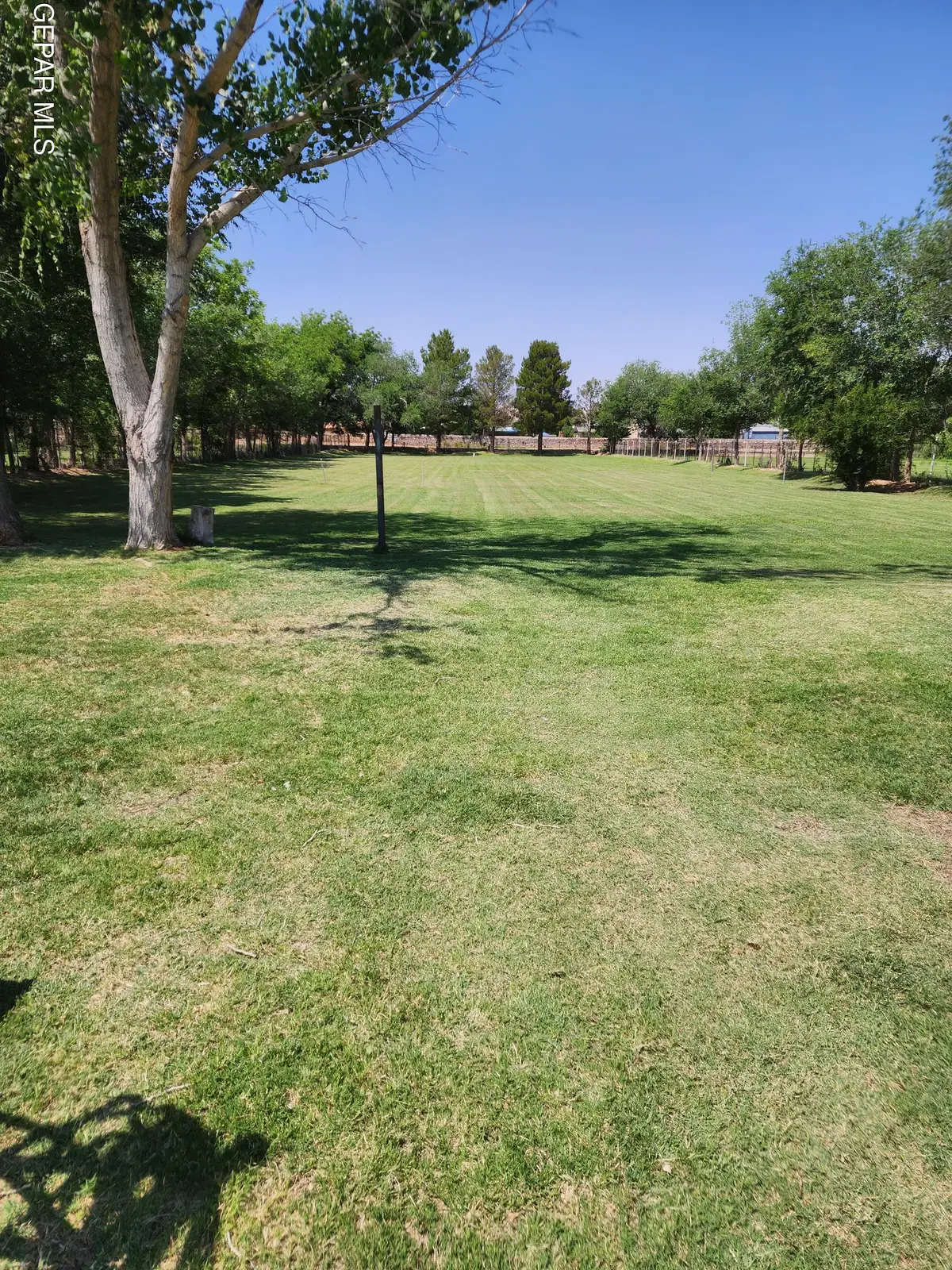 4279 Boy Scout Lane, El Paso, TX 79922 - Image #1