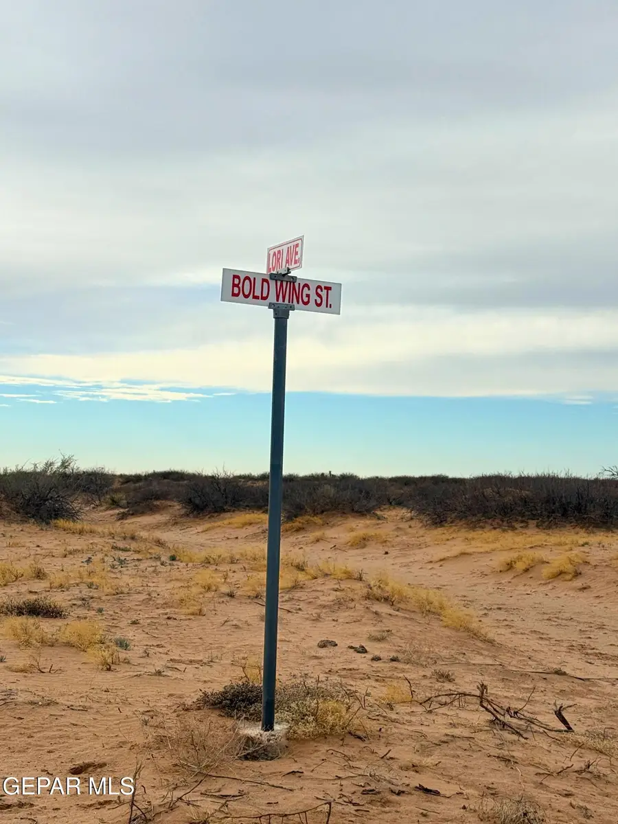 Lot 2 & 3 Lori Avenue, Acala, TX 79839 - #3