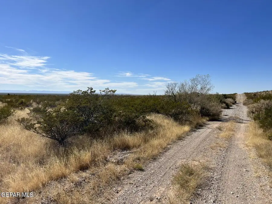 TBD Indian Wells #4 Lot 16 (20.00), Acala, TX 79839 - #2
