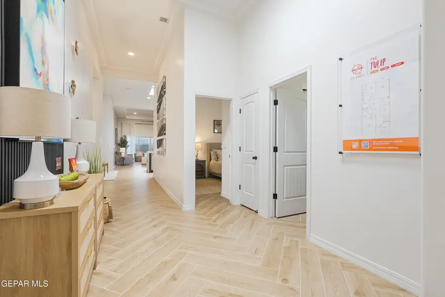 146 Olive Branch, Sunland Park, NM 88008 - #2