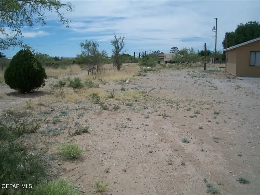 15436 Felix Avenue, El Paso, TX 79938 - #3