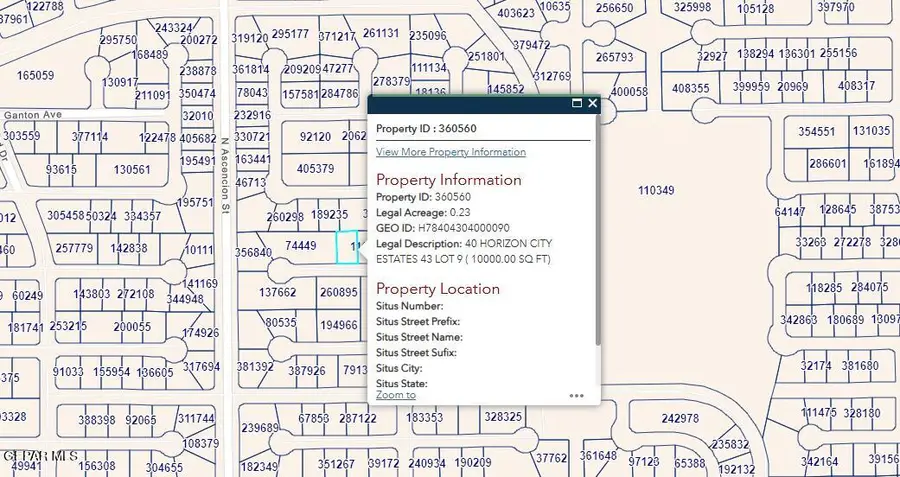 PN-360560 40 Horizon City Estates Lot 9, Horizon City, TX 79928 - #2