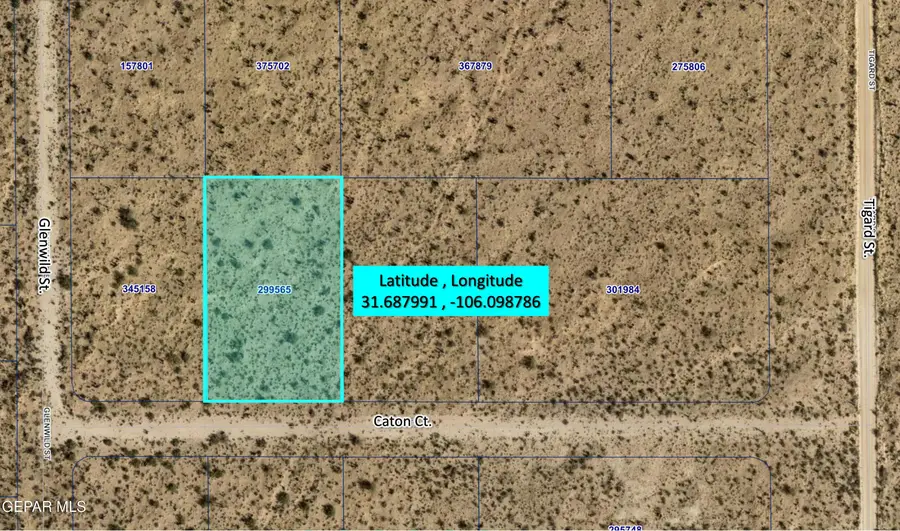 PN-299565 304 Horizon City #37 Lot 9, El Paso, TX 79928 - #2