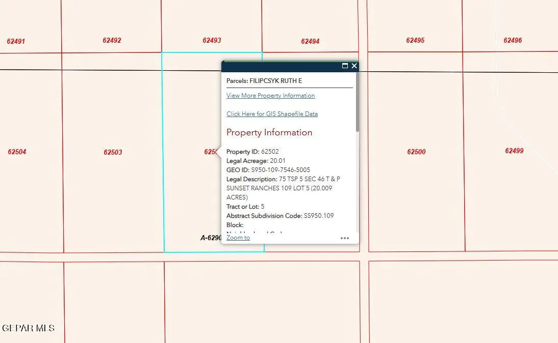 PN-62502 Sunset Ranches #109 Lot 5, Fort Hancock, TX 79839 - #1