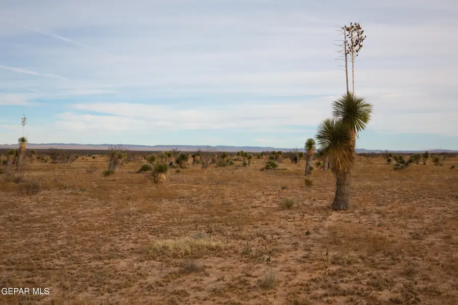 PN 76133 Pn 76133 Tbd 37 Sec 1 Psl Suns, Sierra Blanca, TX 79851 - #2