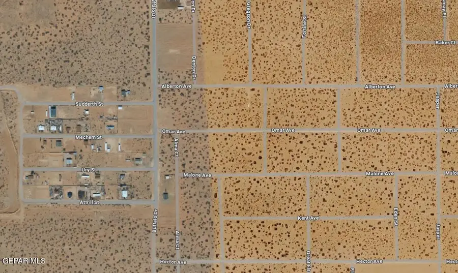 PN-103748 Omar Avenue, Agua Dulce, TX 79928 - #3