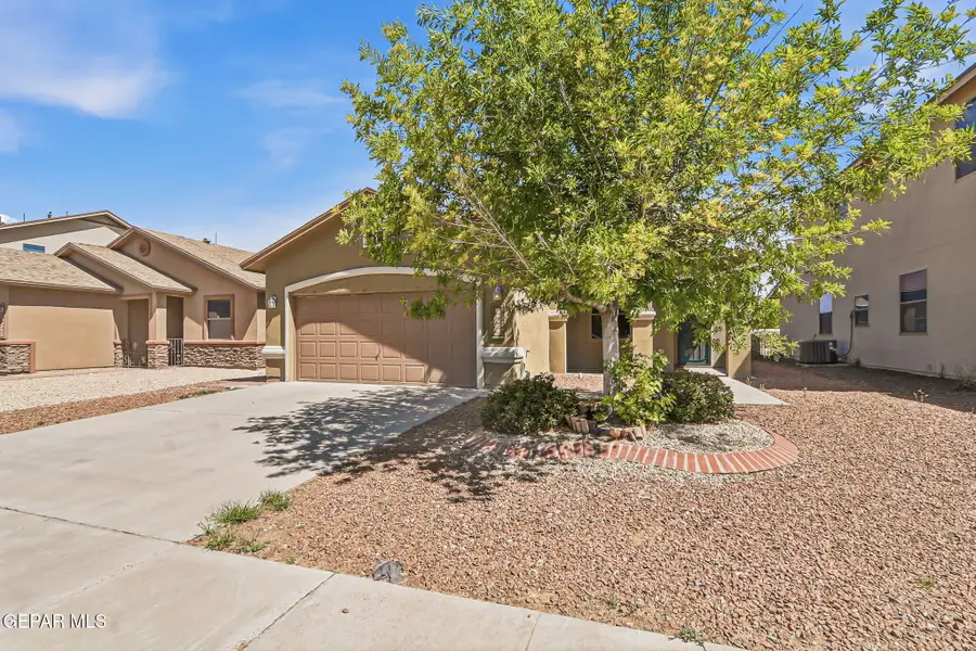 12569 Wolf Berry Drive, El Paso, TX 79928 - #3