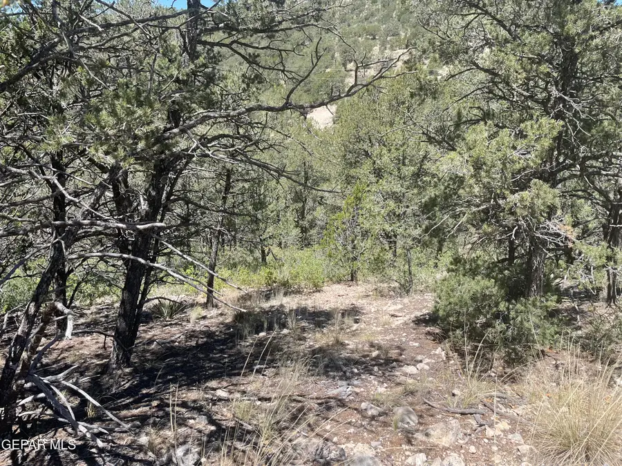 60 Canyon Road, Timberon, NM 88350 - #2