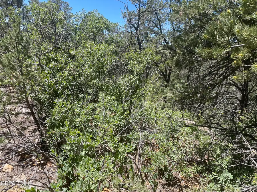 60 Canyon Road, Timberon, NM 88350 - #3