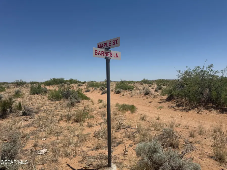 PN-61056 Maple Street, Fabens, TX 79838 - #3