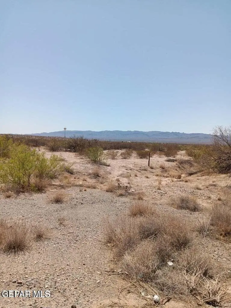 65 1/2 SEC 11 Psl Lot 17 (20 Acres) E, Fort Hancock, TX 79839 - #1