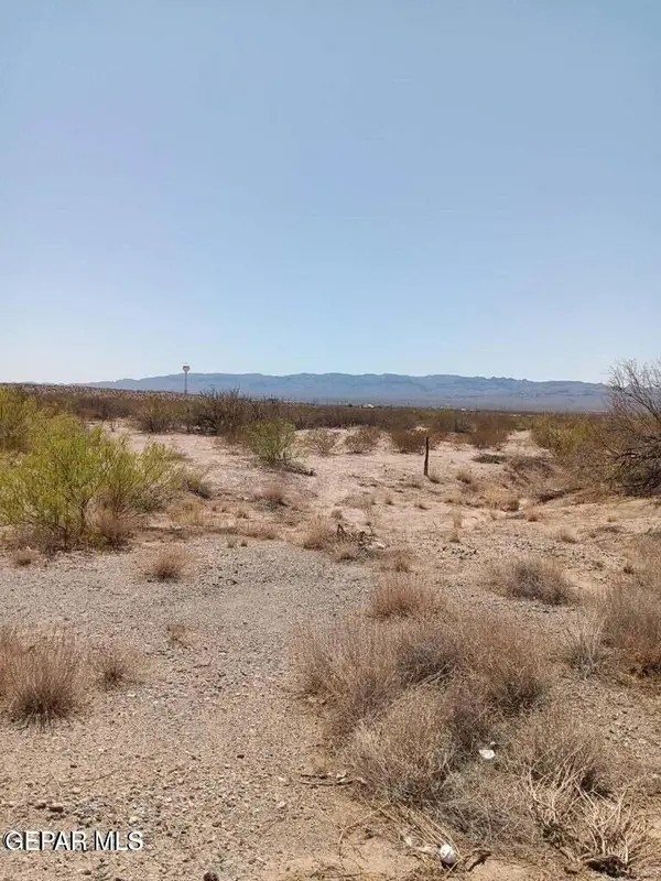 65 1/2 SEC 11 Psl Lot 17 (20 Acres) E, Ft Hancock, TX 79839