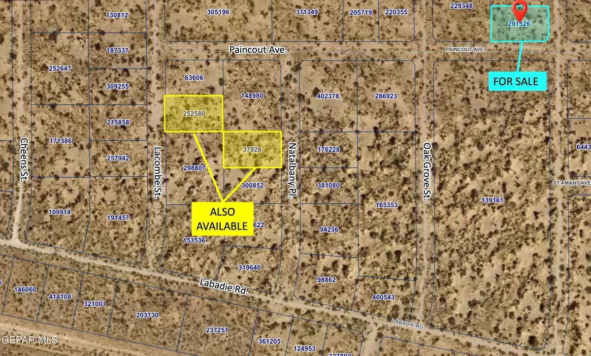 PN-291526 Palmetto Drive, El Paso, TX 79928 - #1