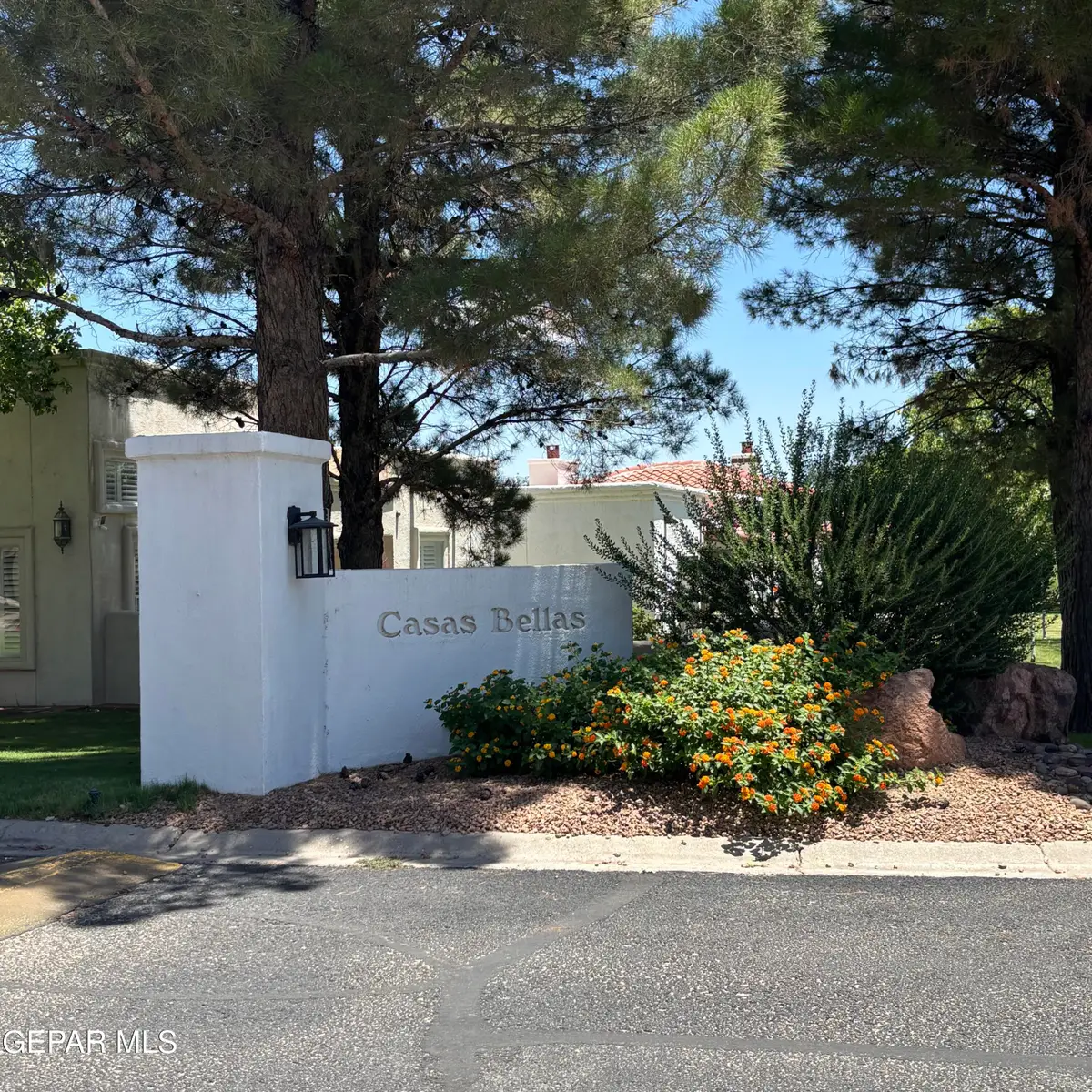 226 Casas Bella Lane, Santa Teresa, NM 88008 - #1