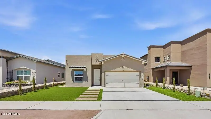 230 Lydia Street, Sunland Park, NM 88008 - #1