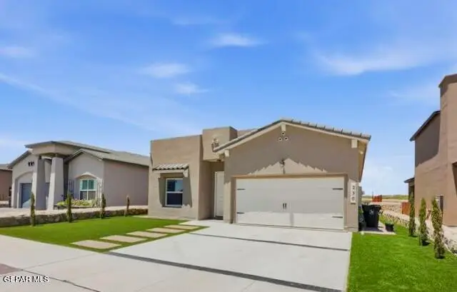 230 Lydia Street, Sunland Park, NM 88008 - #3