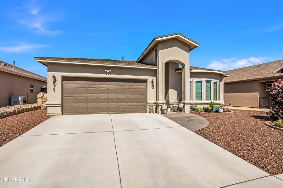 3197 Mansour Farah Street, El Paso, TX 79938 - #3