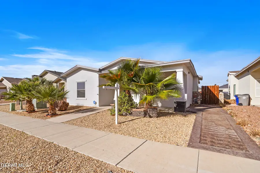 2009 William Caples Street, El Paso, TX 79938 - #2