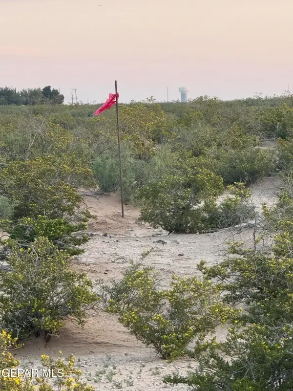 PN233625 Mound Place, Horizon City, TX 79928