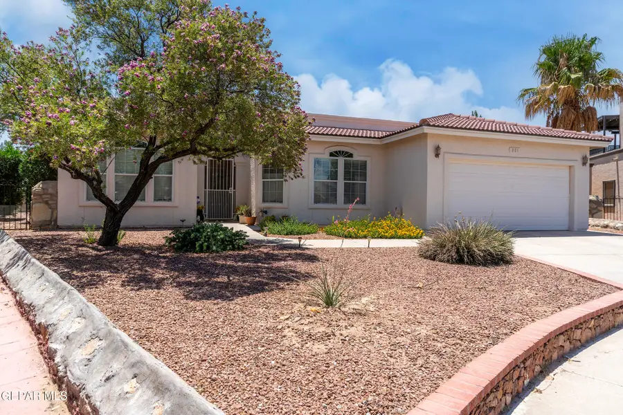 801 Bonnie Court, Santa Teresa, NM 88008 - #2