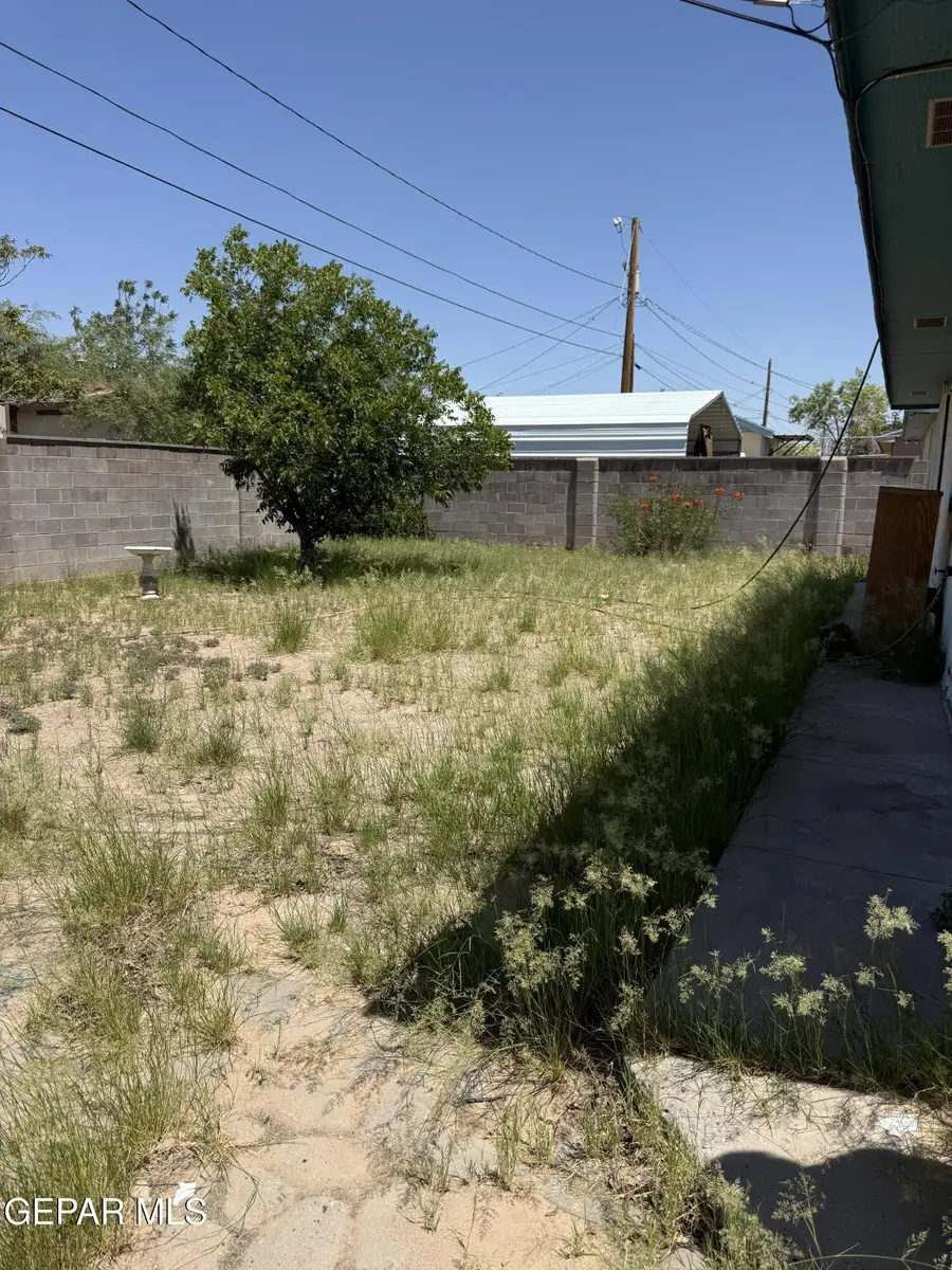 421 Ramsey Avenue, Anthony, NM 88021 - #2
