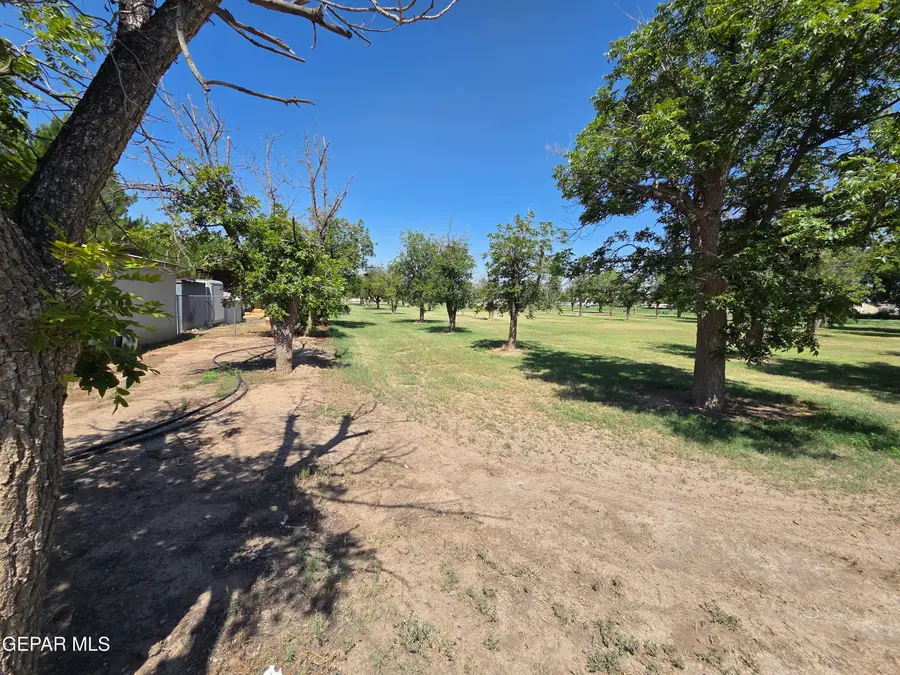 PN-220445 Borrego Road, San Elizario, TX 79849 - #3