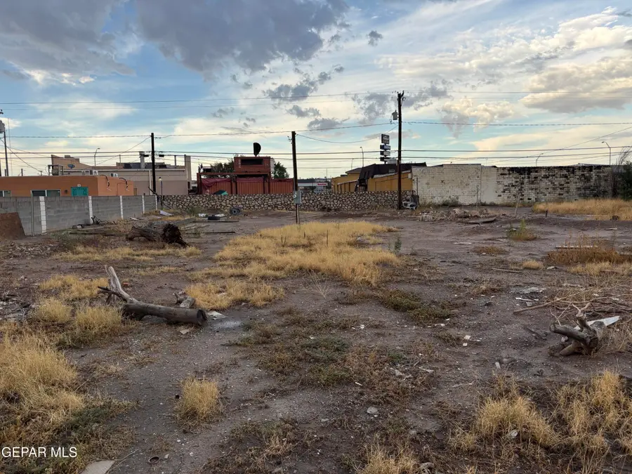 7305 Dale Road, El Paso, TX 79915 - #2