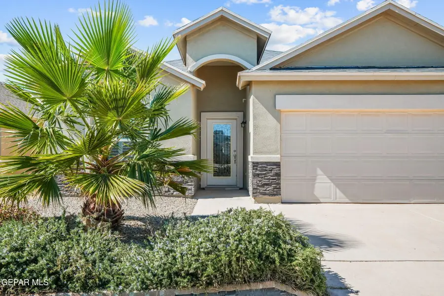 1177 Night Sky Street, Horizon City, TX 79928 - #3