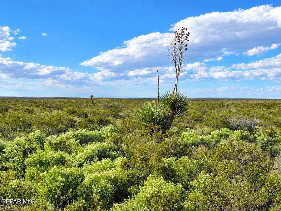 PN-105599 Sparks Ranch, Sierra Blanca, TX 79851 - #2
