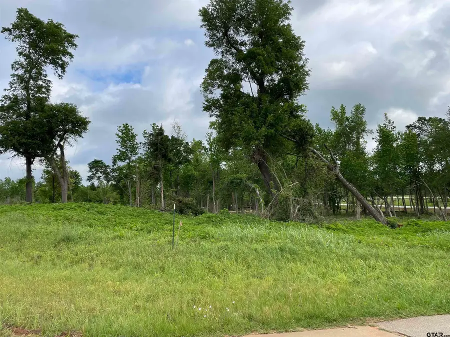 TBD Oak Lot 24, Alto, TX 75925 - #3