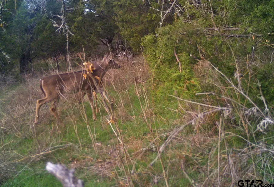 #3