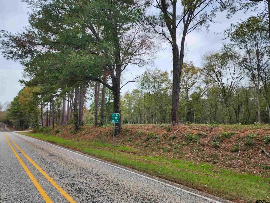 LOT 2 - TBD NE Cr 363, Winona, TX 75792 - #3