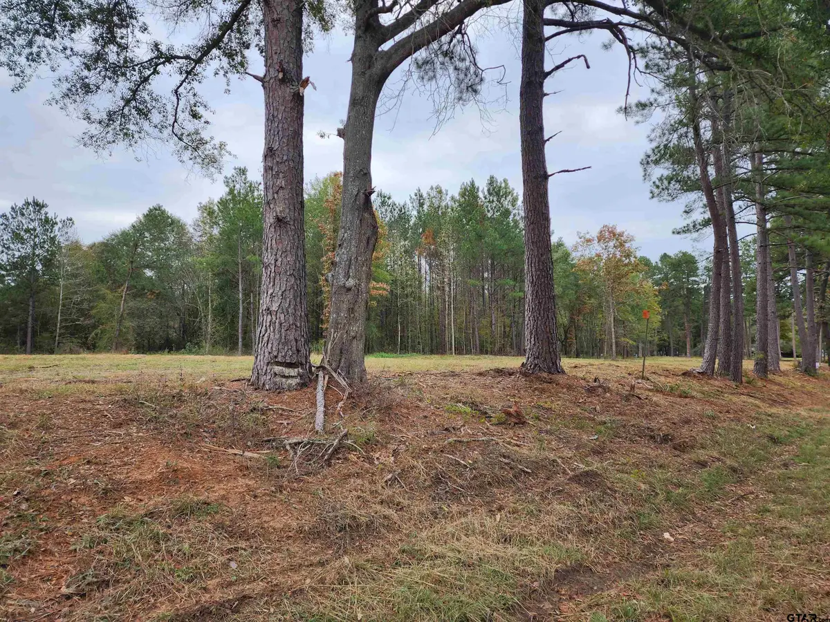 LOT 3 - TBD NE Cr 363, Winona, TX 75792 - #1