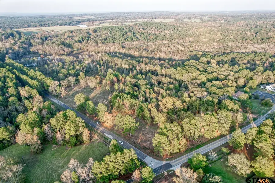 LOT 4 - TBD NE Cr 363, Winona, TX 75792 - #3