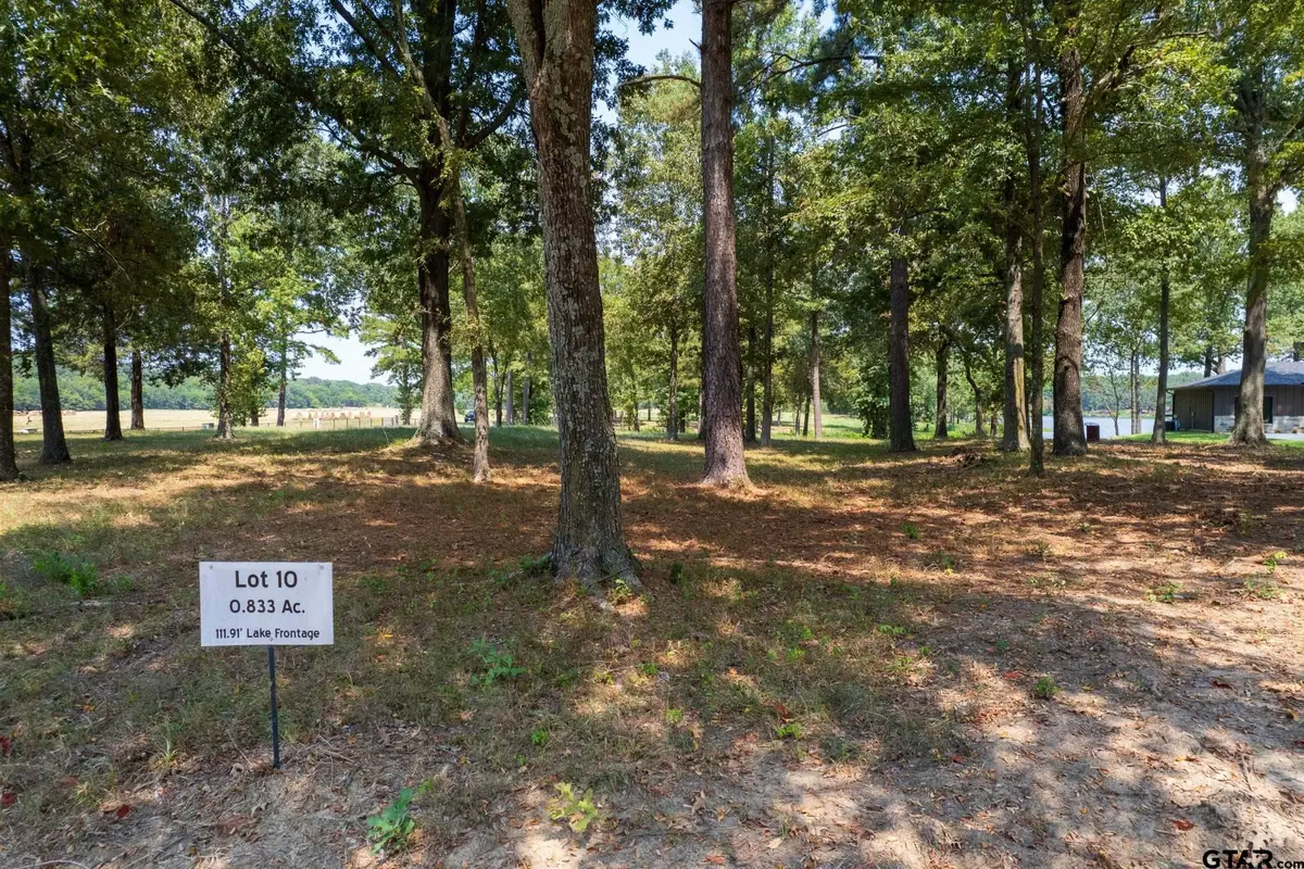 Lot 10 Eagle's Nest Circle, Mount Vernon, TX 75457 - #1