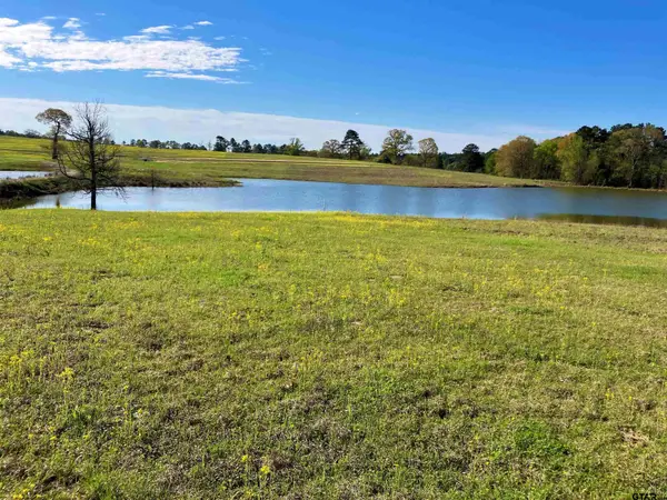 Lot 49 White Oak Creek Ranch, Big Sandy,  75755