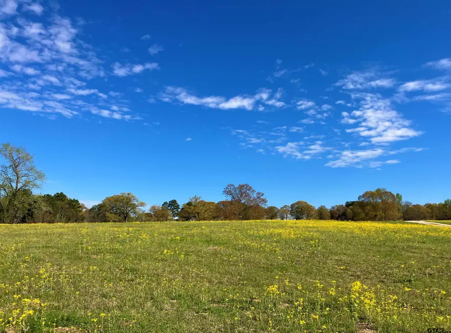 Lot 49 White Oak Creek Ranch, Big Sandy, TX 75755 - #3