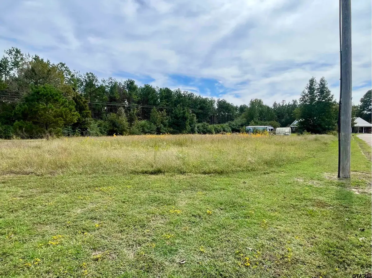 Lot 28 Twin Springs Trail, Omaha, TX 75571 - Image #1