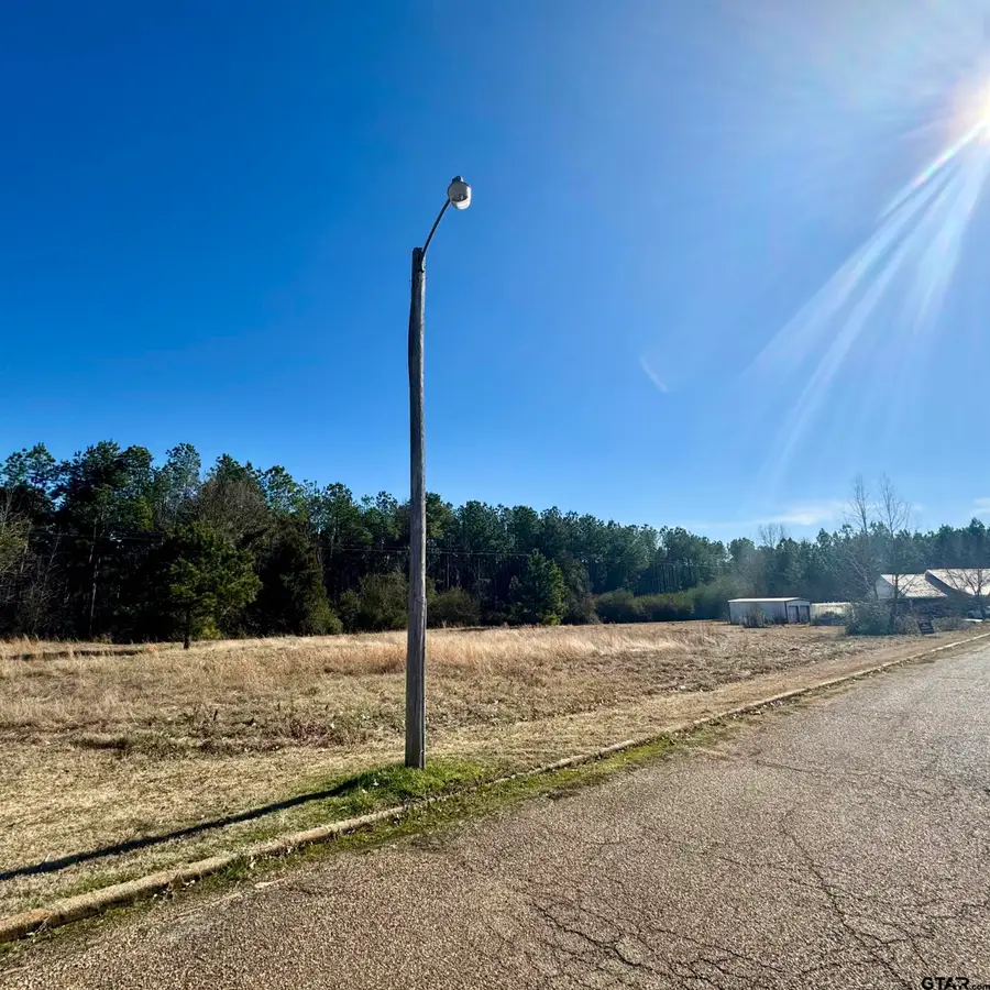 Lot 28 Twin Springs Trail, Omaha, TX 75571 - Image #2