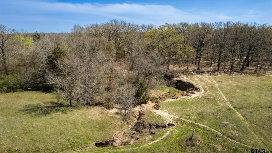 33 Acres Farm Road 69, Sulphur Bluff, TX 75481 - #2