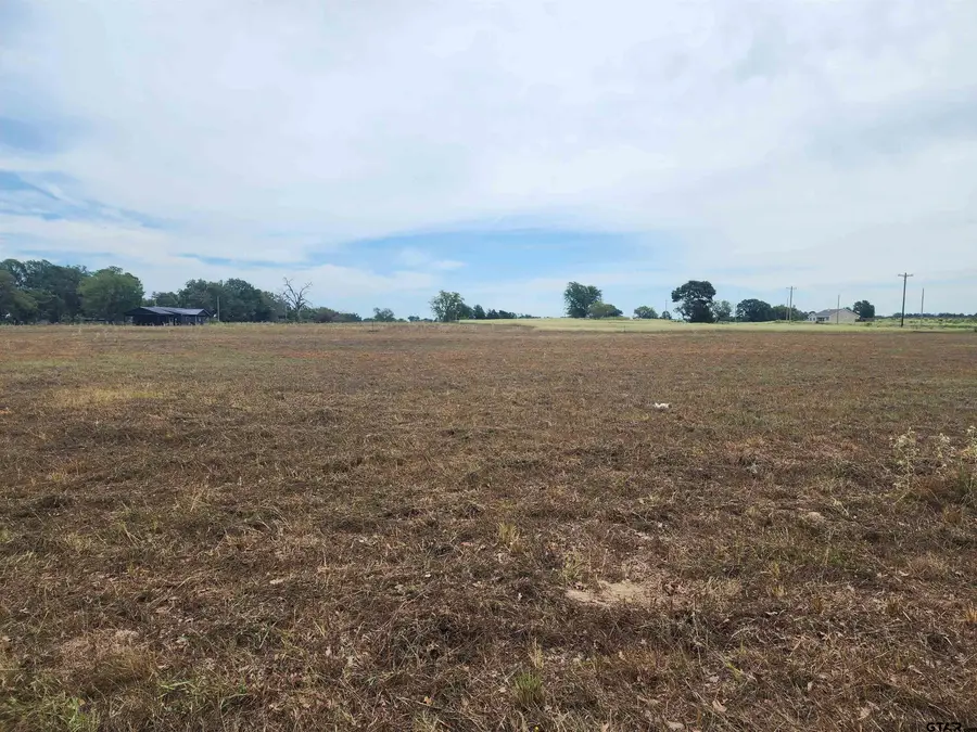 TBD CR 3105 Lot#6, Pittsburg, TX 75686 - Image #3
